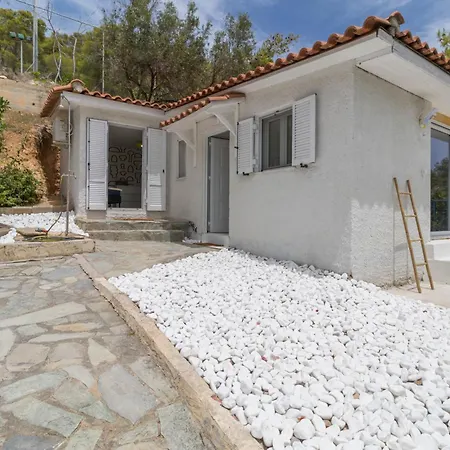 Villa Strava Park House *